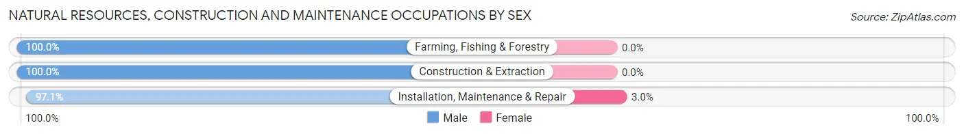 Natural Resources, Construction and Maintenance Occupations by Sex in Fruitville