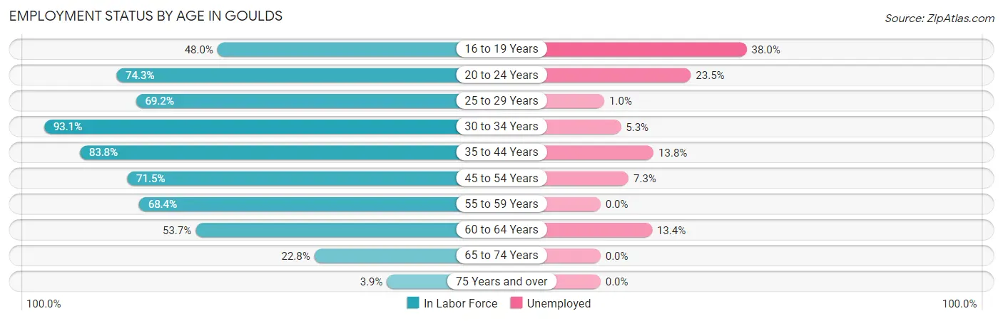 Employment Status by Age in Goulds