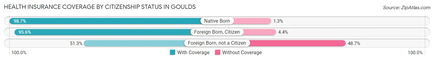 Health Insurance Coverage by Citizenship Status in Goulds