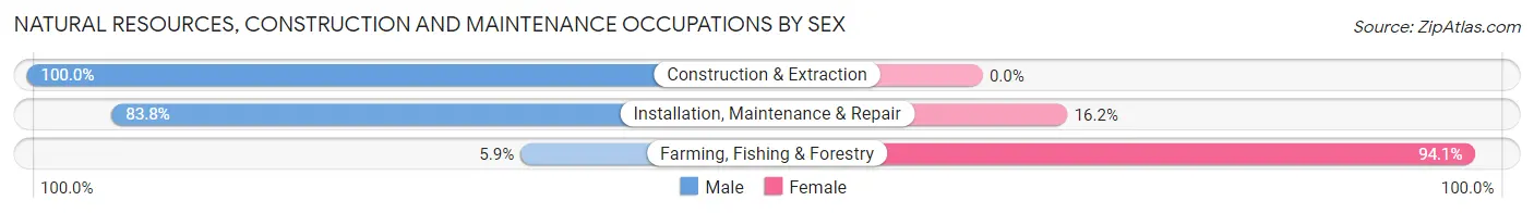 Natural Resources, Construction and Maintenance Occupations by Sex in Goulds