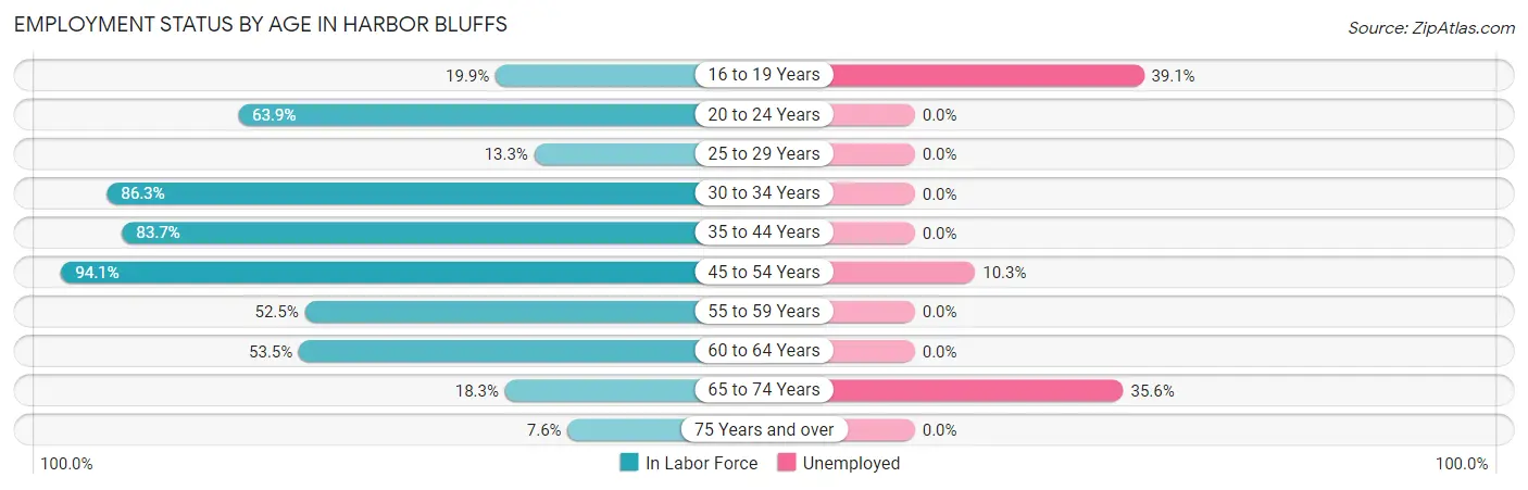 Employment Status by Age in Harbor Bluffs