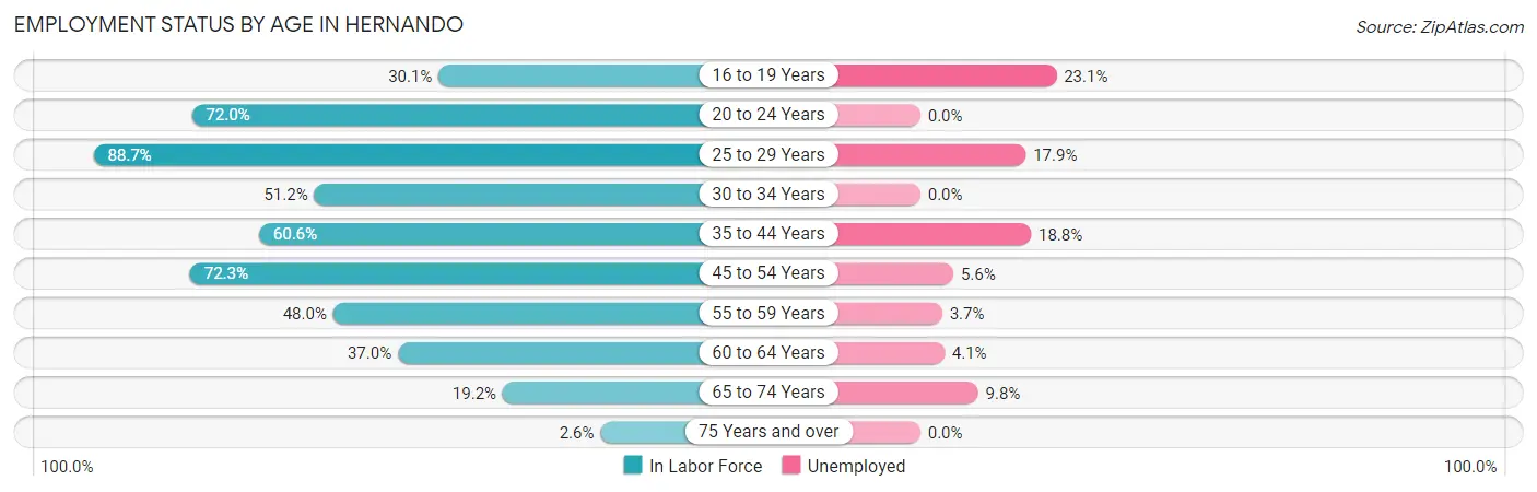 Employment Status by Age in Hernando