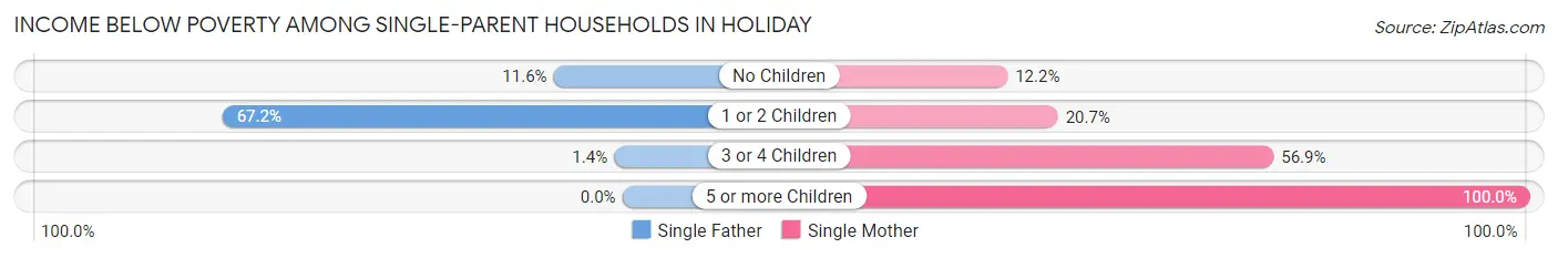 Income Below Poverty Among Single-Parent Households in Holiday