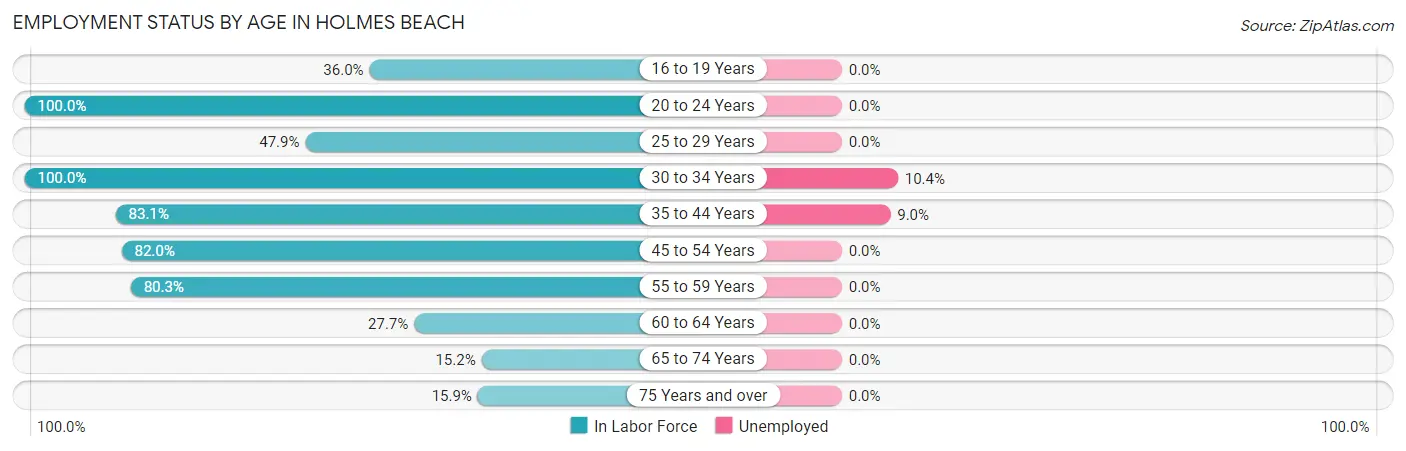 Employment Status by Age in Holmes Beach