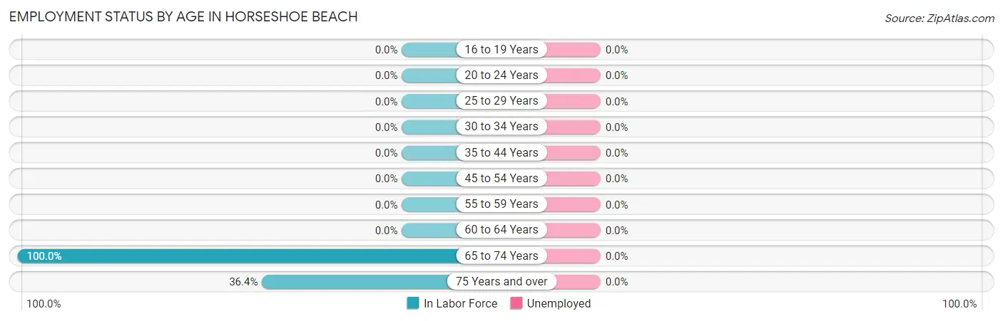 Employment Status by Age in Horseshoe Beach