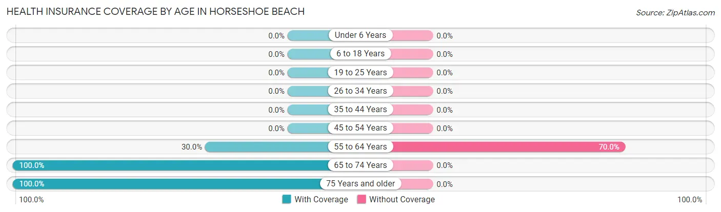 Health Insurance Coverage by Age in Horseshoe Beach