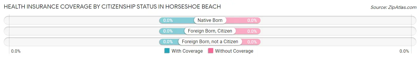 Health Insurance Coverage by Citizenship Status in Horseshoe Beach