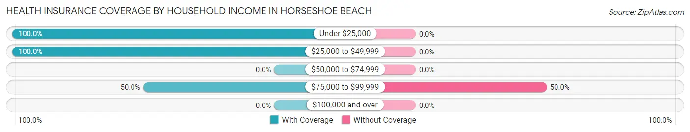 Health Insurance Coverage by Household Income in Horseshoe Beach