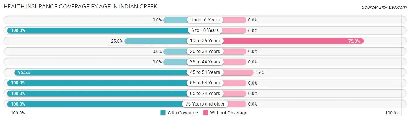 Health Insurance Coverage by Age in Indian Creek