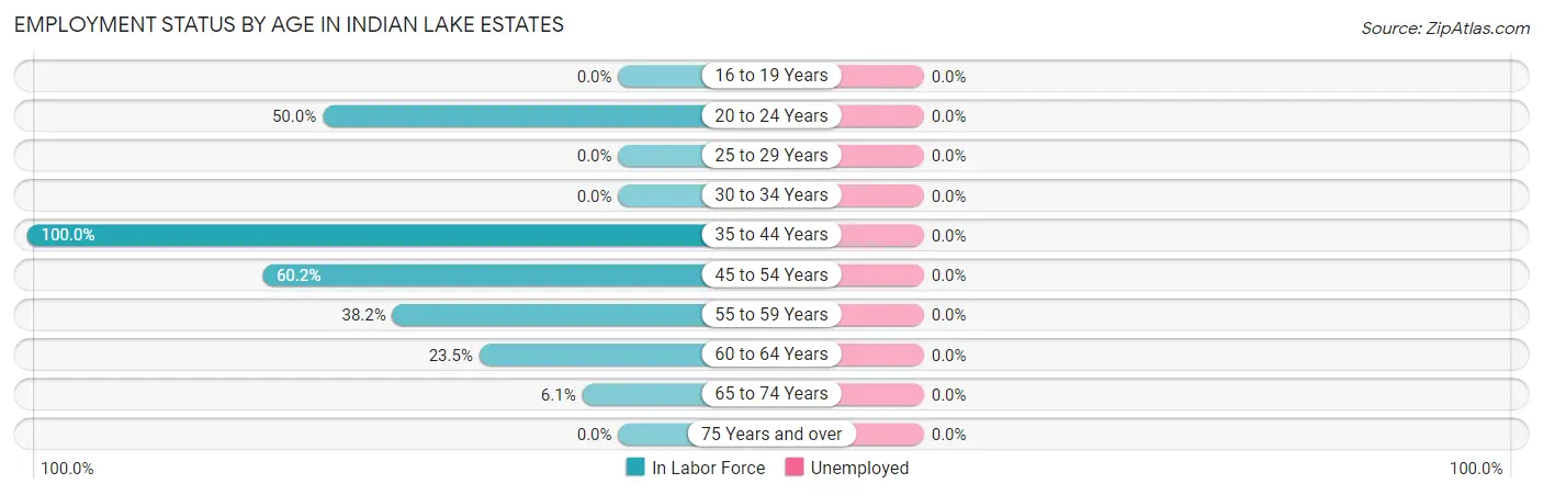 Employment Status by Age in Indian Lake Estates