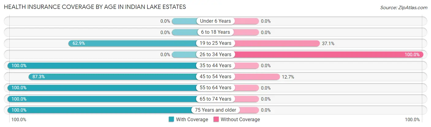 Health Insurance Coverage by Age in Indian Lake Estates