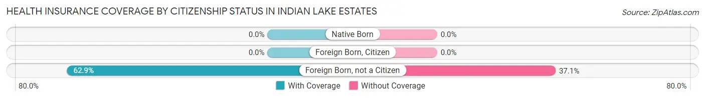 Health Insurance Coverage by Citizenship Status in Indian Lake Estates