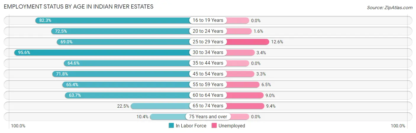 Employment Status by Age in Indian River Estates