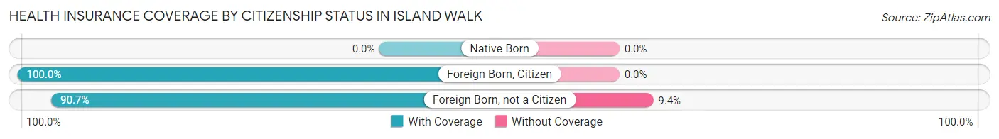 Health Insurance Coverage by Citizenship Status in Island Walk
