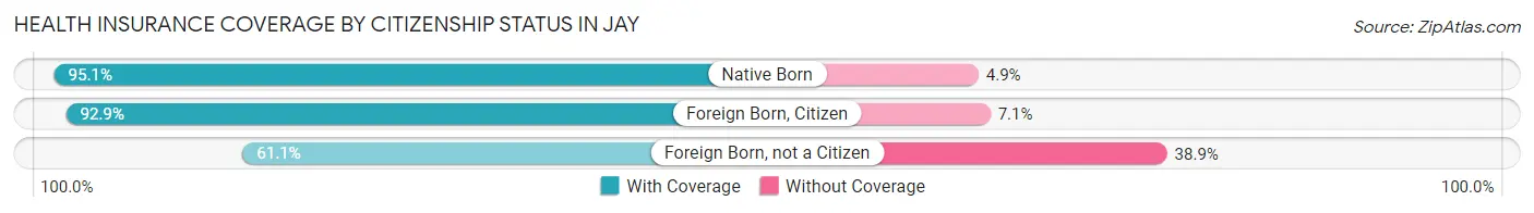 Health Insurance Coverage by Citizenship Status in Jay