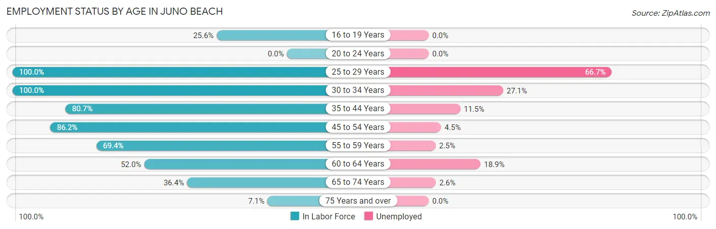 Employment Status by Age in Juno Beach