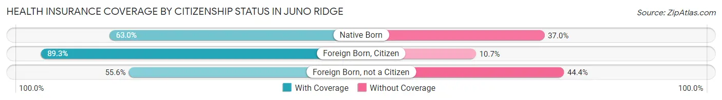 Health Insurance Coverage by Citizenship Status in Juno Ridge