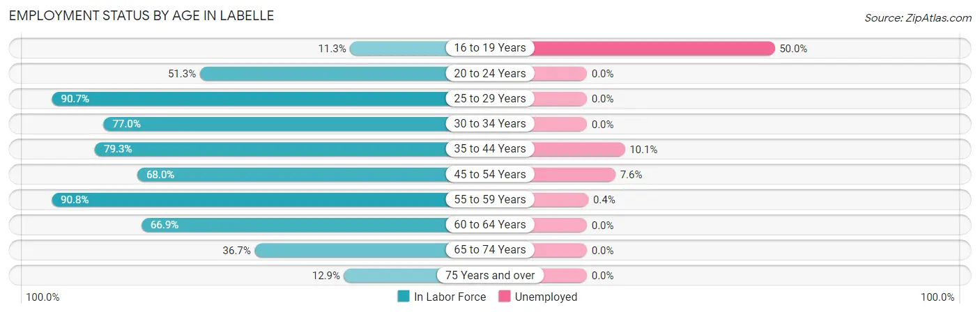 Employment Status by Age in Labelle