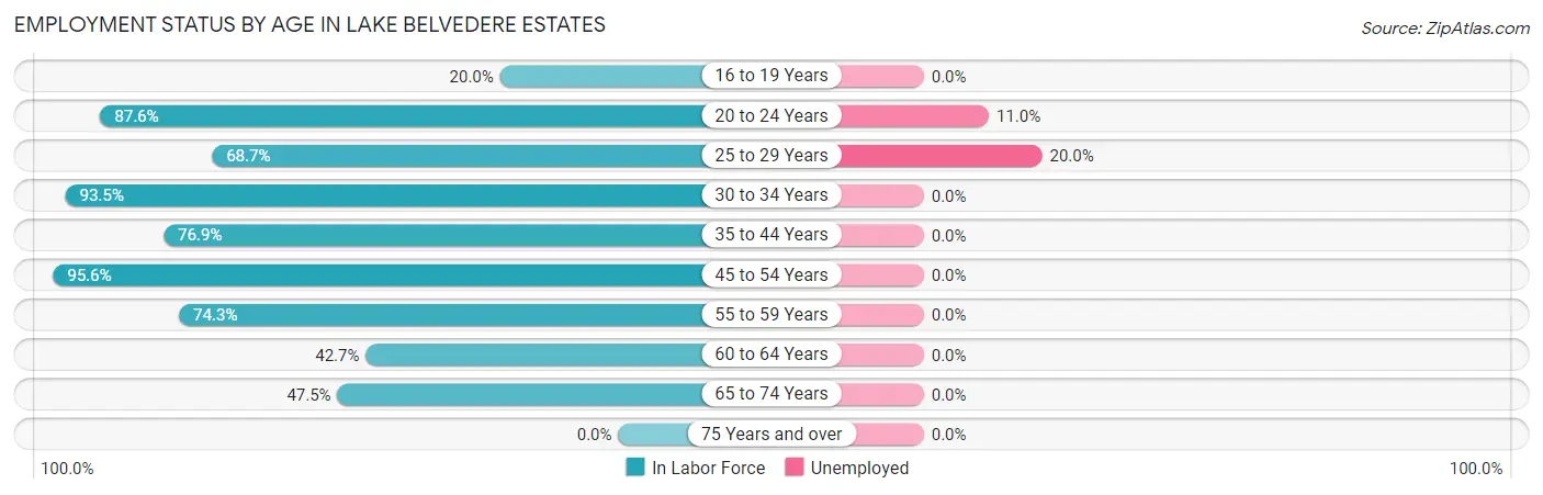 Employment Status by Age in Lake Belvedere Estates