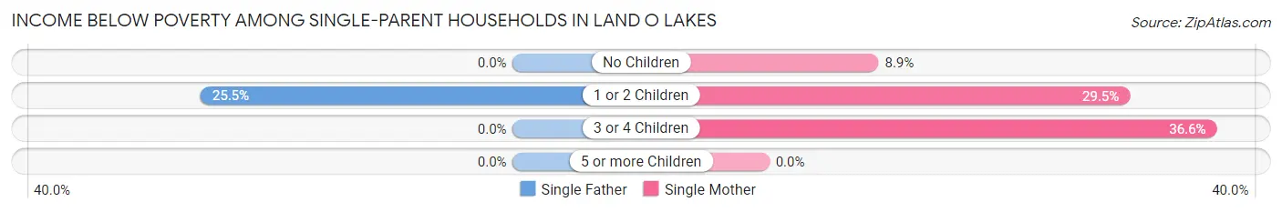 Income Below Poverty Among Single-Parent Households in Land O Lakes