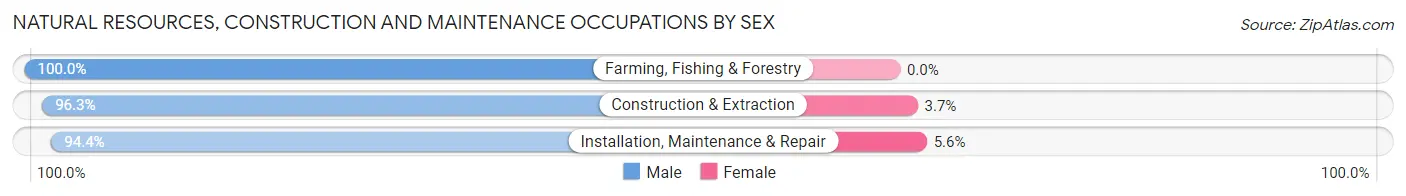 Natural Resources, Construction and Maintenance Occupations by Sex in Lauderhill