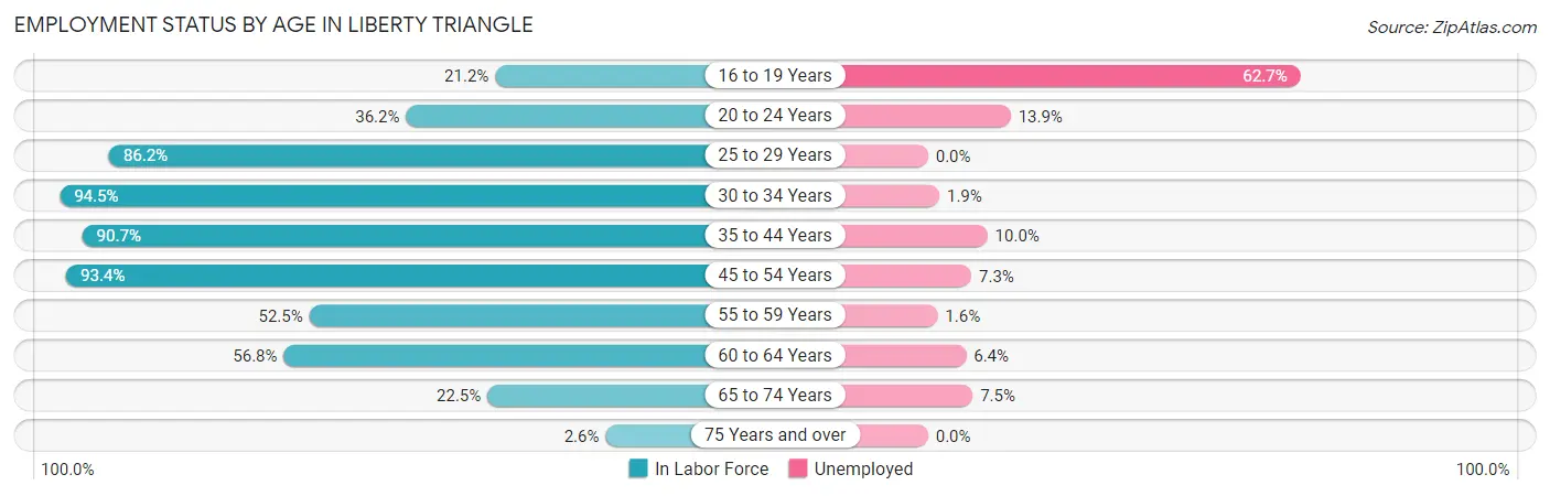 Employment Status by Age in Liberty Triangle