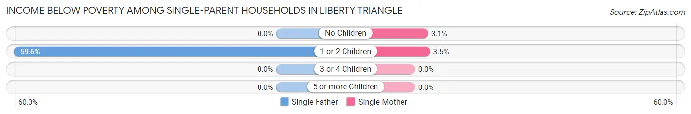 Income Below Poverty Among Single-Parent Households in Liberty Triangle