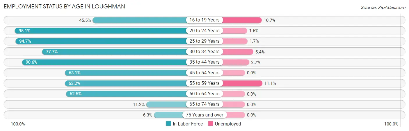 Employment Status by Age in Loughman