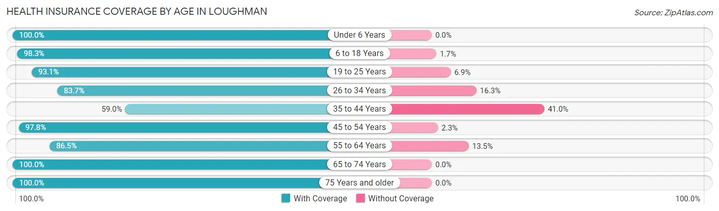Health Insurance Coverage by Age in Loughman