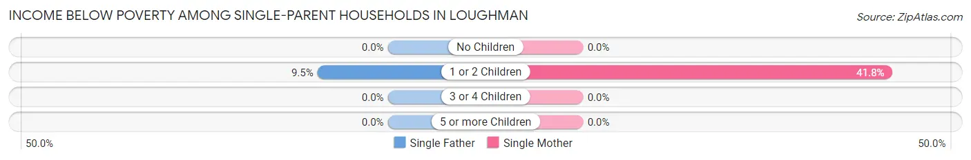 Income Below Poverty Among Single-Parent Households in Loughman