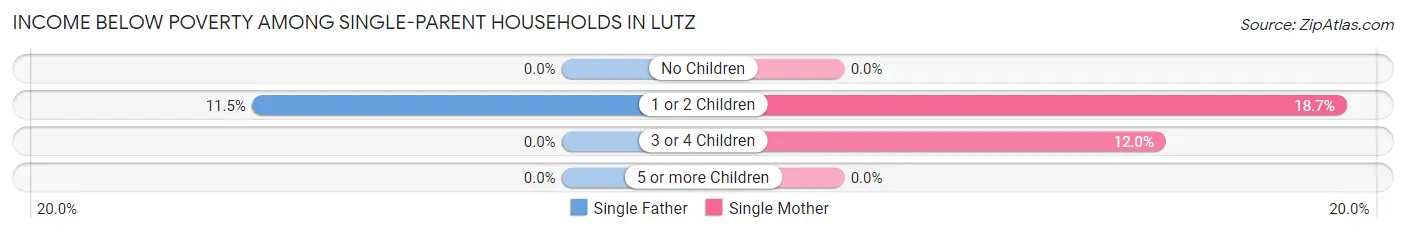 Income Below Poverty Among Single-Parent Households in Lutz