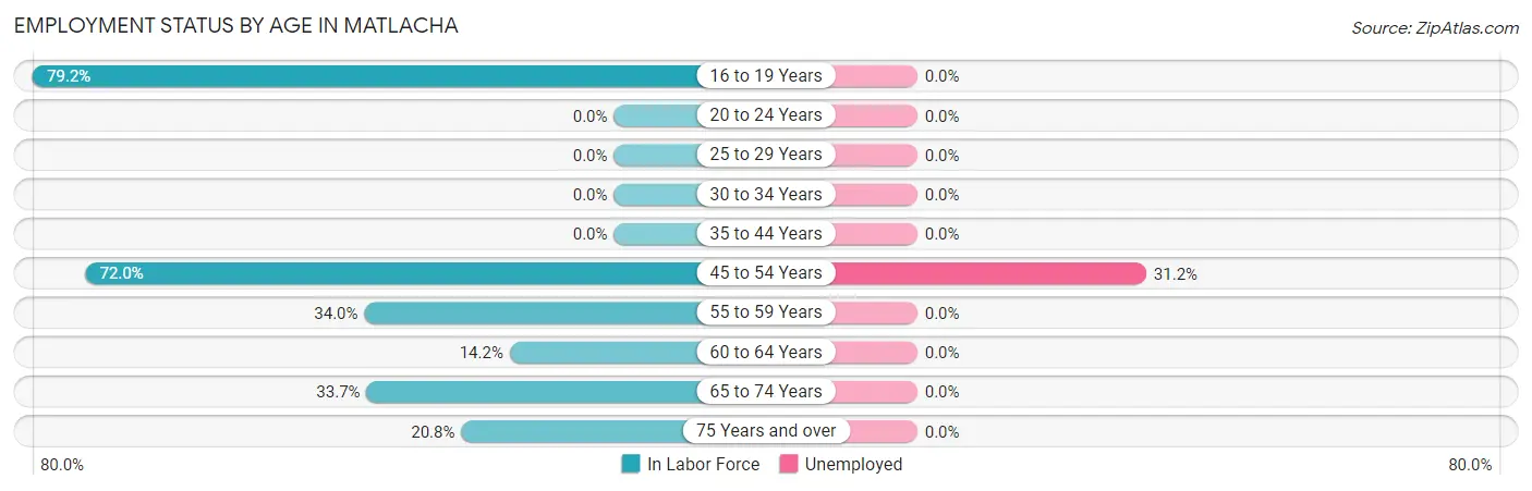 Employment Status by Age in Matlacha