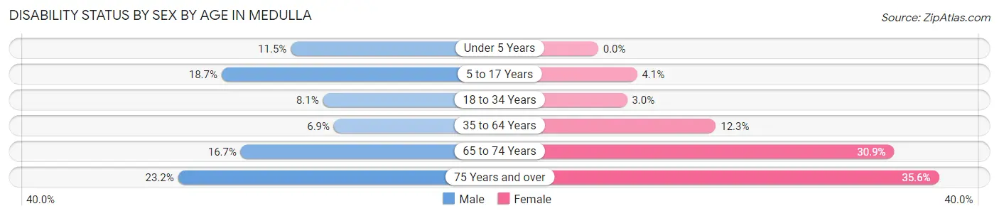 Disability Status by Sex by Age in Medulla