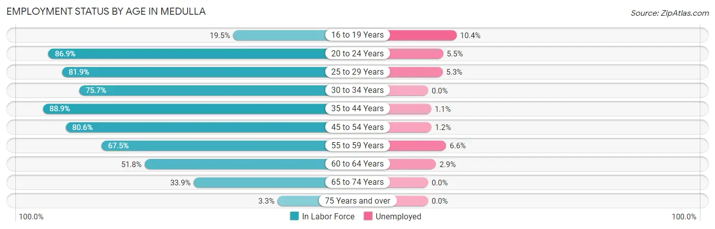 Employment Status by Age in Medulla
