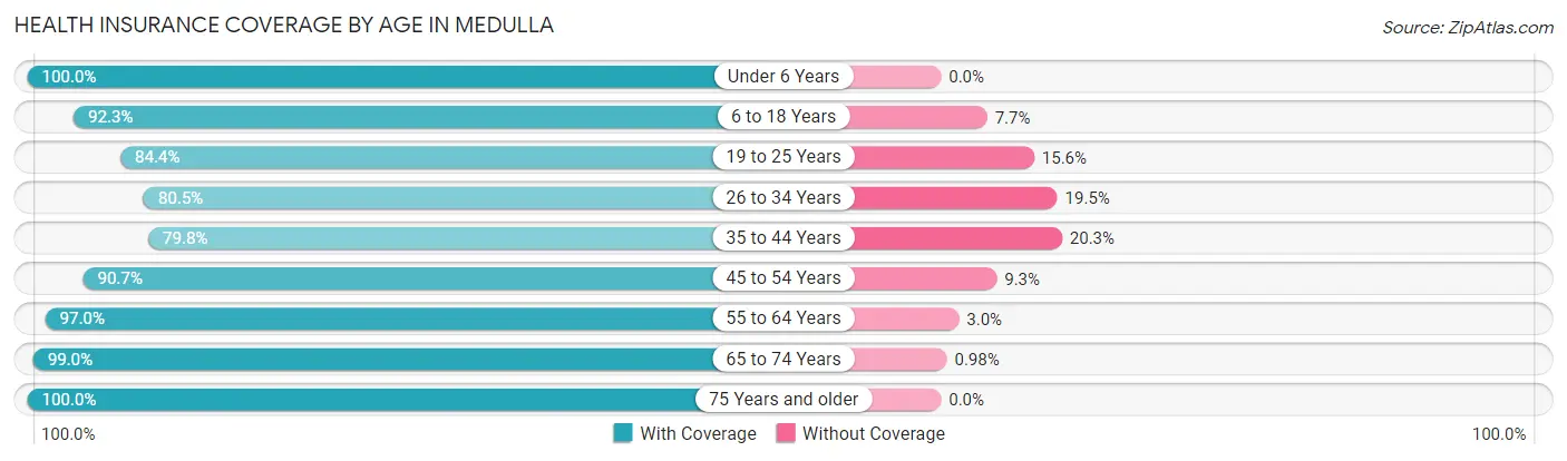 Health Insurance Coverage by Age in Medulla