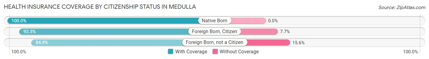 Health Insurance Coverage by Citizenship Status in Medulla