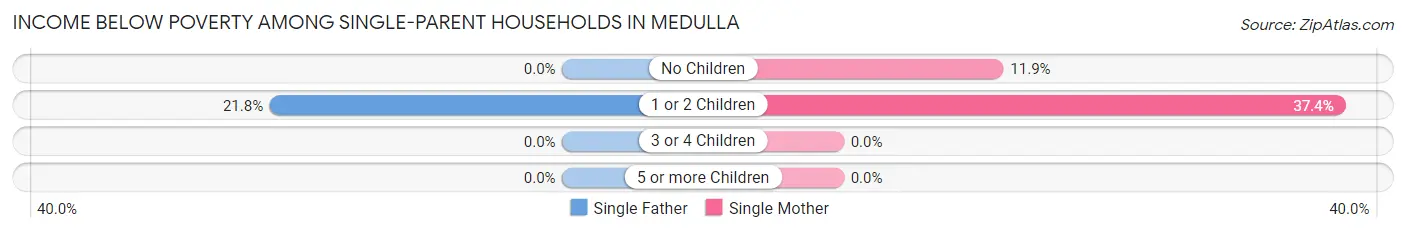 Income Below Poverty Among Single-Parent Households in Medulla