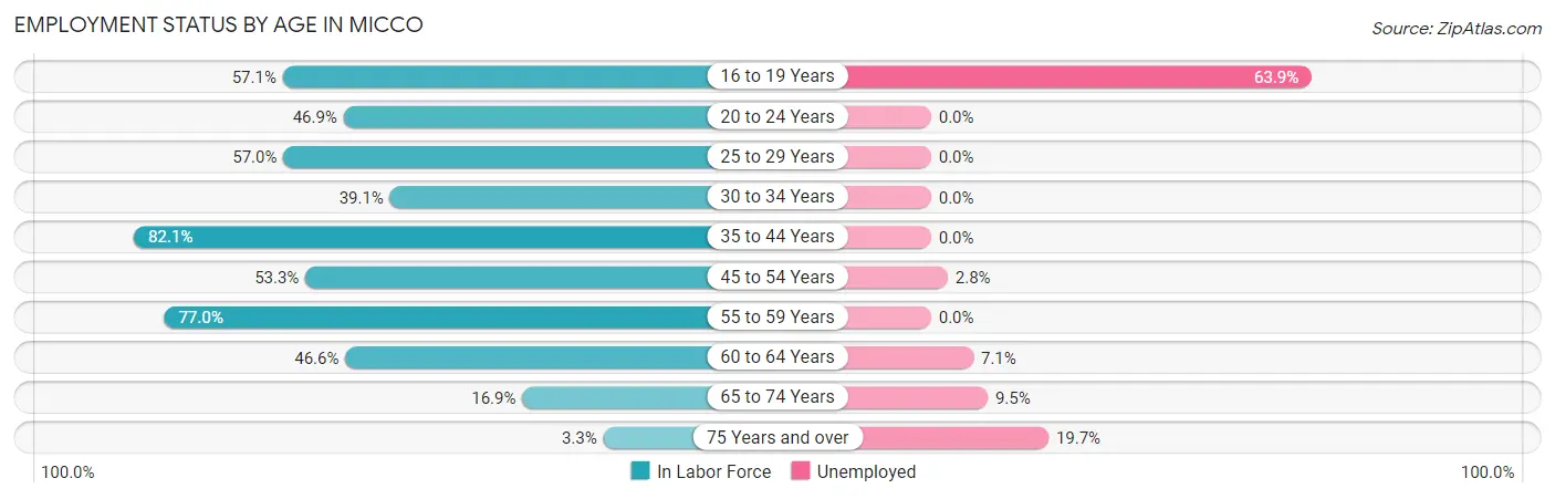 Employment Status by Age in Micco