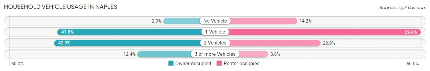 Household Vehicle Usage in Naples