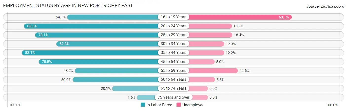 Employment Status by Age in New Port Richey East