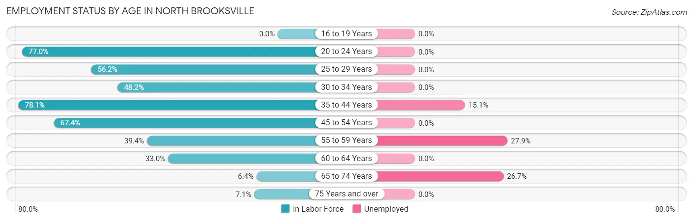 Employment Status by Age in North Brooksville