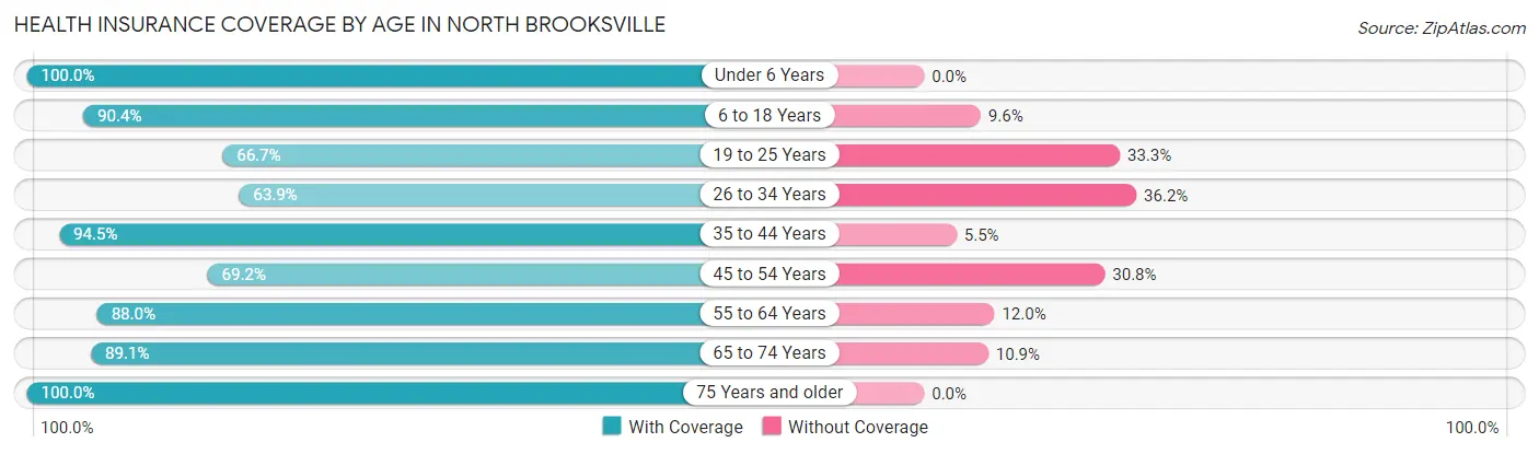Health Insurance Coverage by Age in North Brooksville