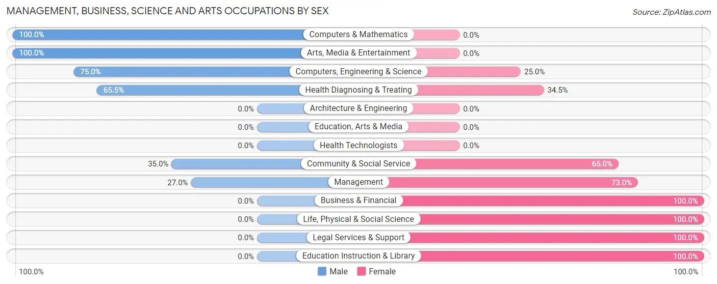Management, Business, Science and Arts Occupations by Sex in North Brooksville