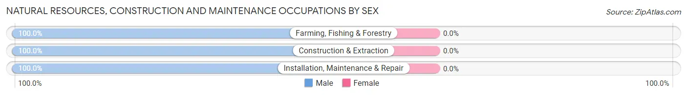 Natural Resources, Construction and Maintenance Occupations by Sex in North Merritt Island