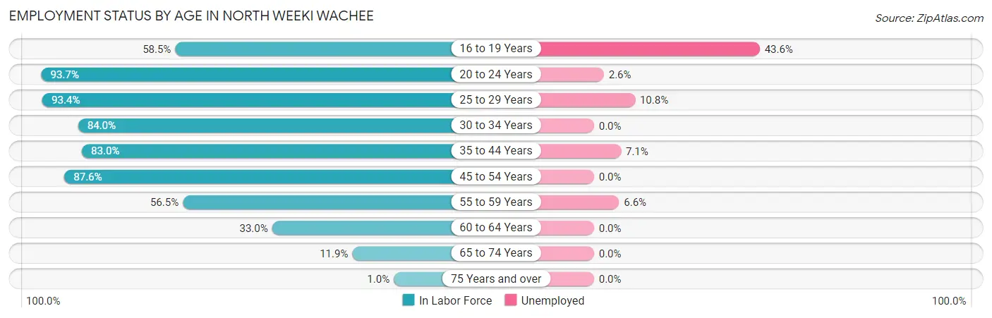 Employment Status by Age in North Weeki Wachee