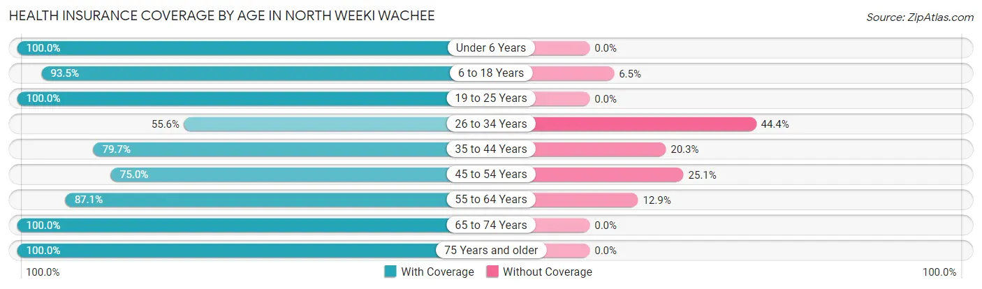 Health Insurance Coverage by Age in North Weeki Wachee