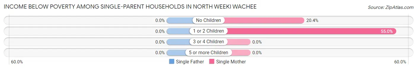 Income Below Poverty Among Single-Parent Households in North Weeki Wachee