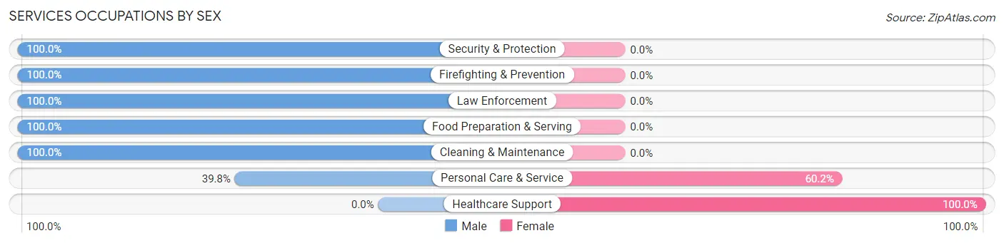 Services Occupations by Sex in On Top of the World