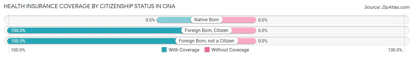 Health Insurance Coverage by Citizenship Status in Ona