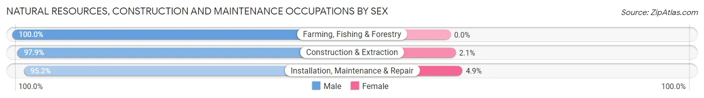 Natural Resources, Construction and Maintenance Occupations by Sex in Palm Harbor